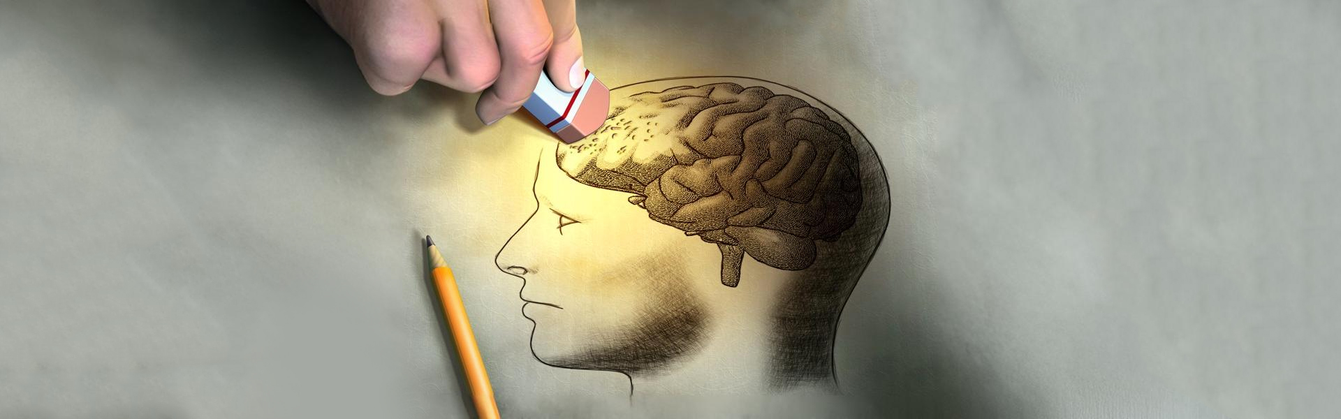 Conceptual image of a human brain being erased with a pencil eraser, symbolizing memory loss, brain fog, or cognitive decline